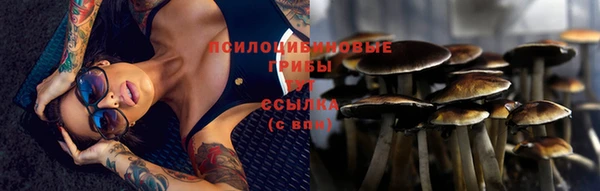ГАЛЛЮЦИНОГЕННЫЕ ГРИБЫ Арсеньев