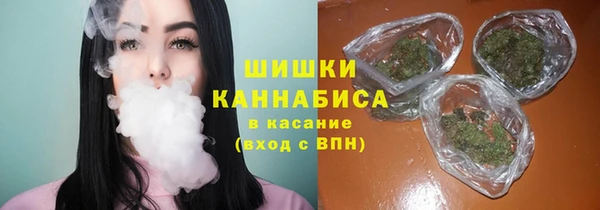 ГАЛЛЮЦИНОГЕННЫЕ ГРИБЫ Арсеньев