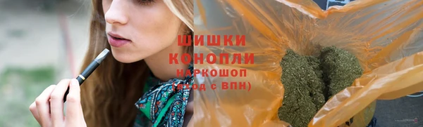 гашик Балахна