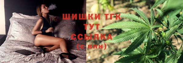 ГАЛЛЮЦИНОГЕННЫЕ ГРИБЫ Арсеньев