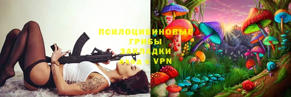 ГАЛЛЮЦИНОГЕННЫЕ ГРИБЫ Арсеньев